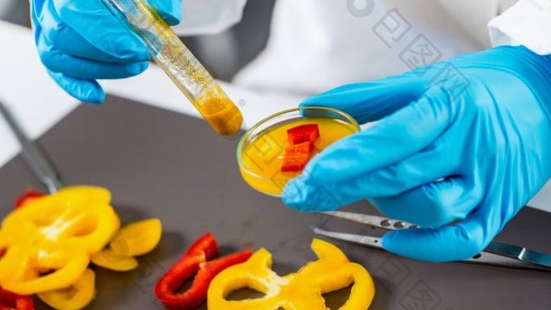 重庆火锅底料批发价格揭秘：背后的因素与选择要点**